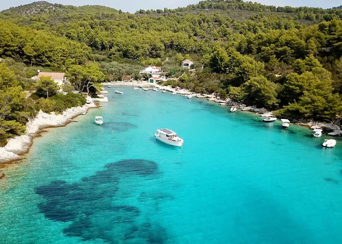 Seaside Family Friendly House With A Swimming Pool Cove Slatina, Korcula - 23711 *